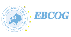 EBCOG - The European Board and College of Obstetrics and Gynaecology